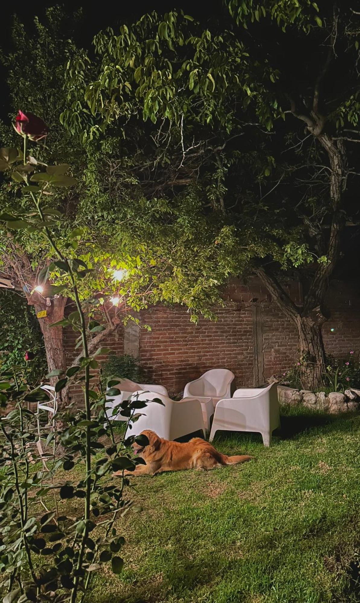 Casa Los Nogales Villa Cafayate Buitenkant foto
